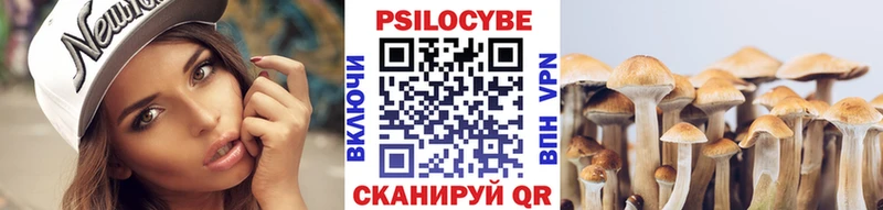 Псилоцибиновые грибы мицелий  магазин  наркотиков  Острогожск 